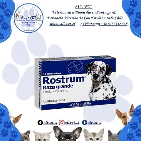 Rostrum Raza Grande 150 mg