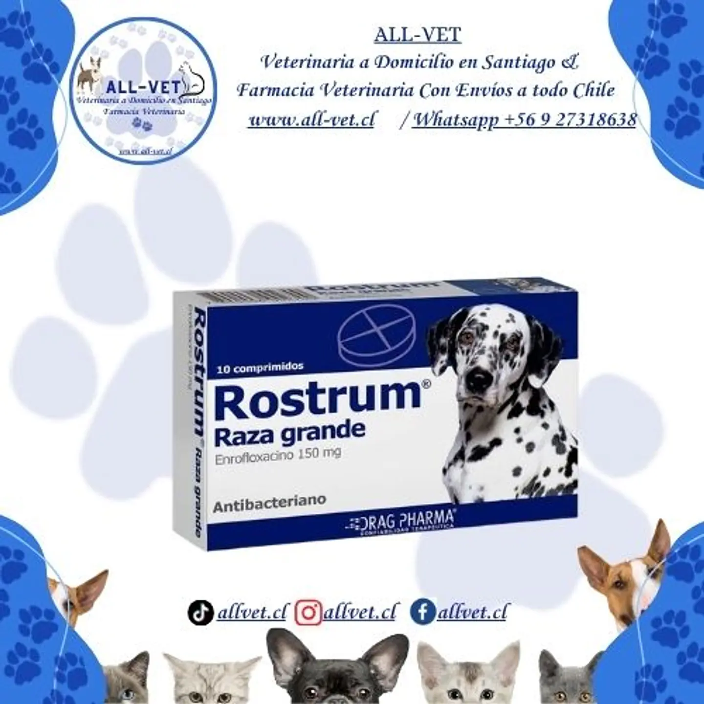 Rostrum Raza Grande 150 mg 1