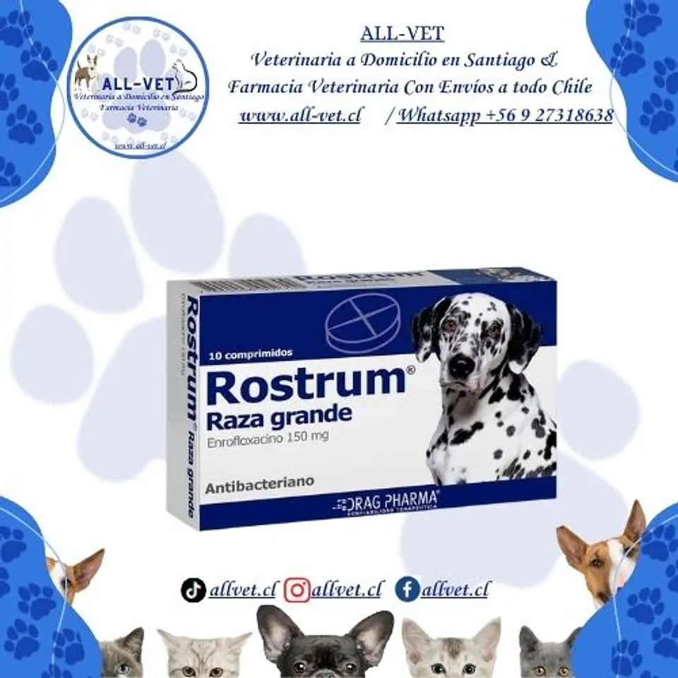 Rostrum Raza Grande 150 mg 1