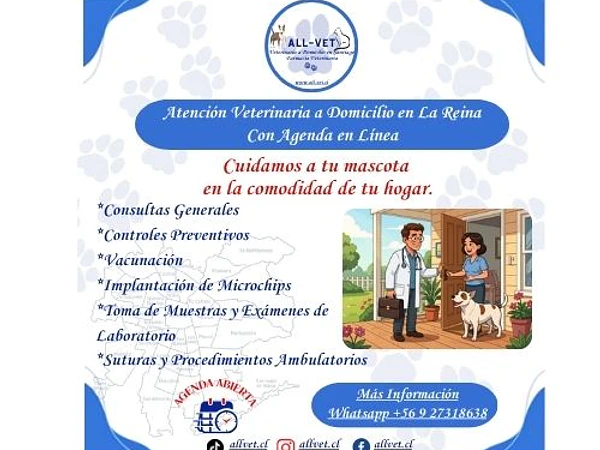 <b><h2>Veterinarios a Domicilio en La Reina</b>