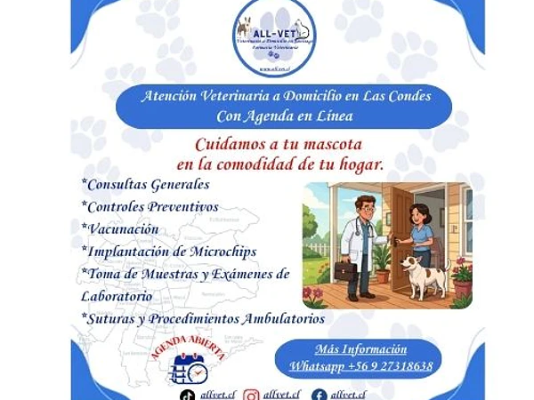 <b><h2>Veterinario a Domicilio en Las Condes</b>