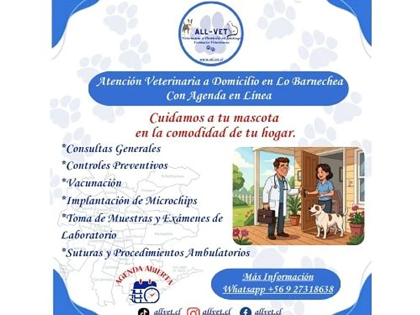 <b><h2>Veterinarios a Domicilio en Lo Barnechea</b>