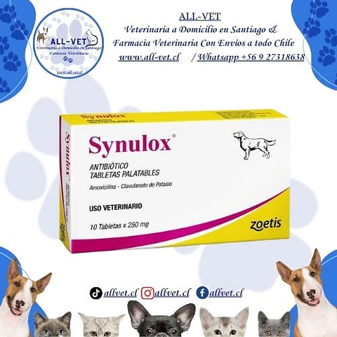 Synulox 250mg 10 comprimidos 