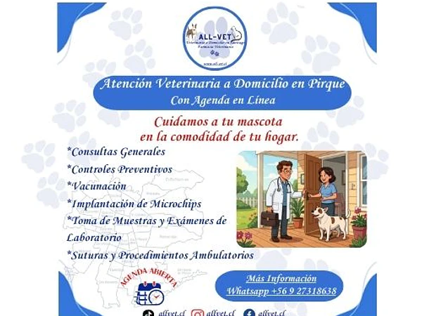 <b><h2>Veterinarios a Domicilio en Pirque</b>