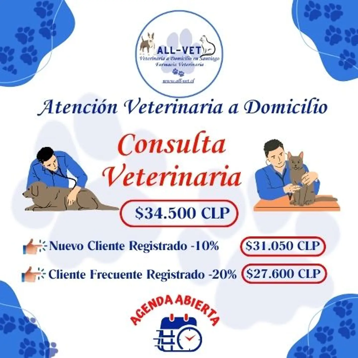 Consulta Veterinaria a Domicilio en Santiago - Con Agenda en Línea 1