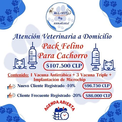 Pack Felino para Cachorros a Domicilio en Santiago - Con Agenda en Línea