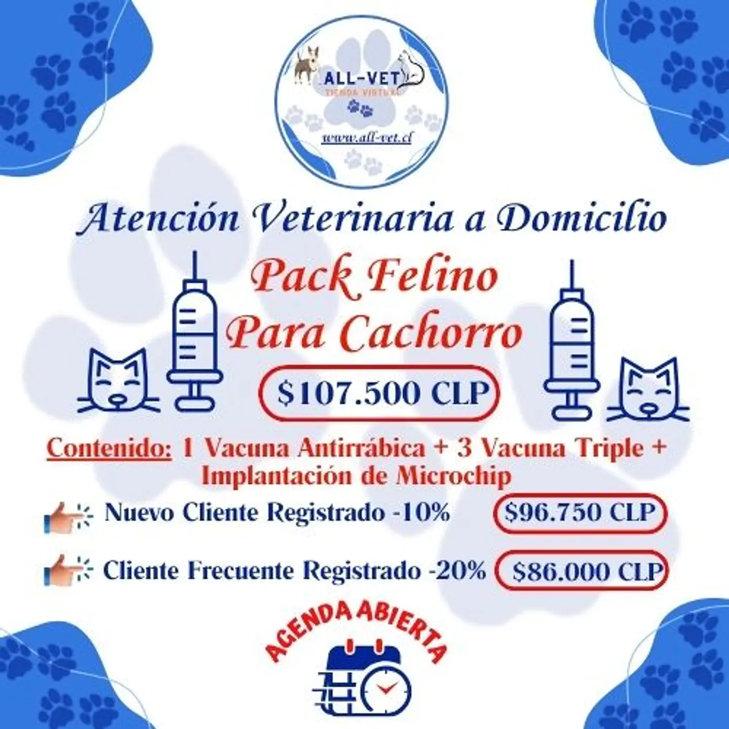 Pack Felino para Cachorros a Domicilio en Santiago - Con Agenda en Línea 1