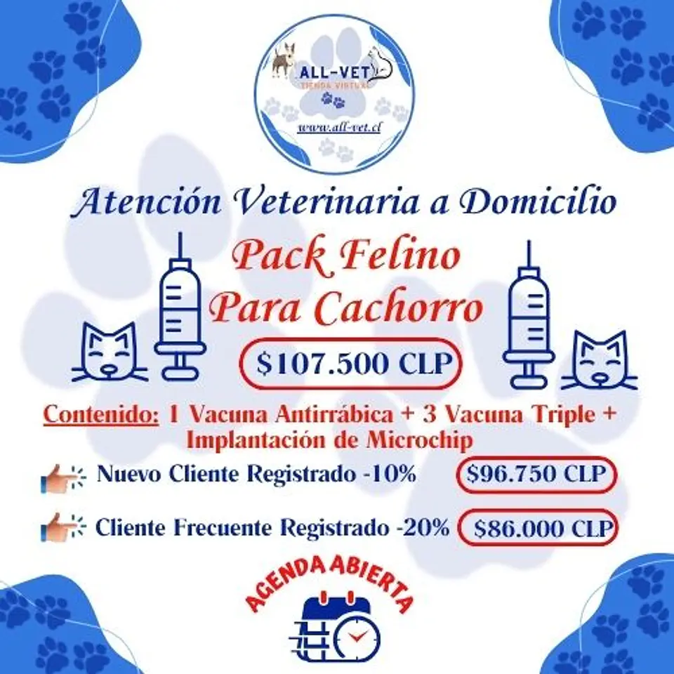 Pack Felino para Cachorros a Domicilio en Santiago - Con Agenda en Línea 1
