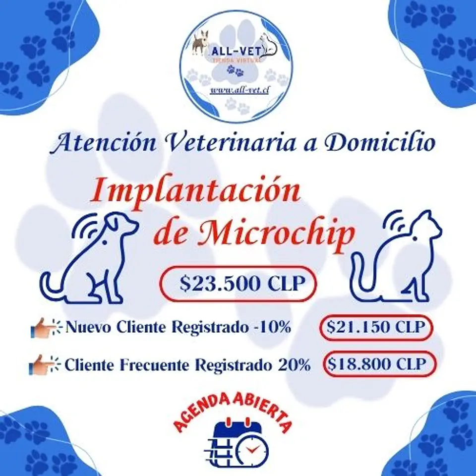 Implantación de Chip para Mascotas a Domicilio en Santiago - Con Agenda en Línea 1