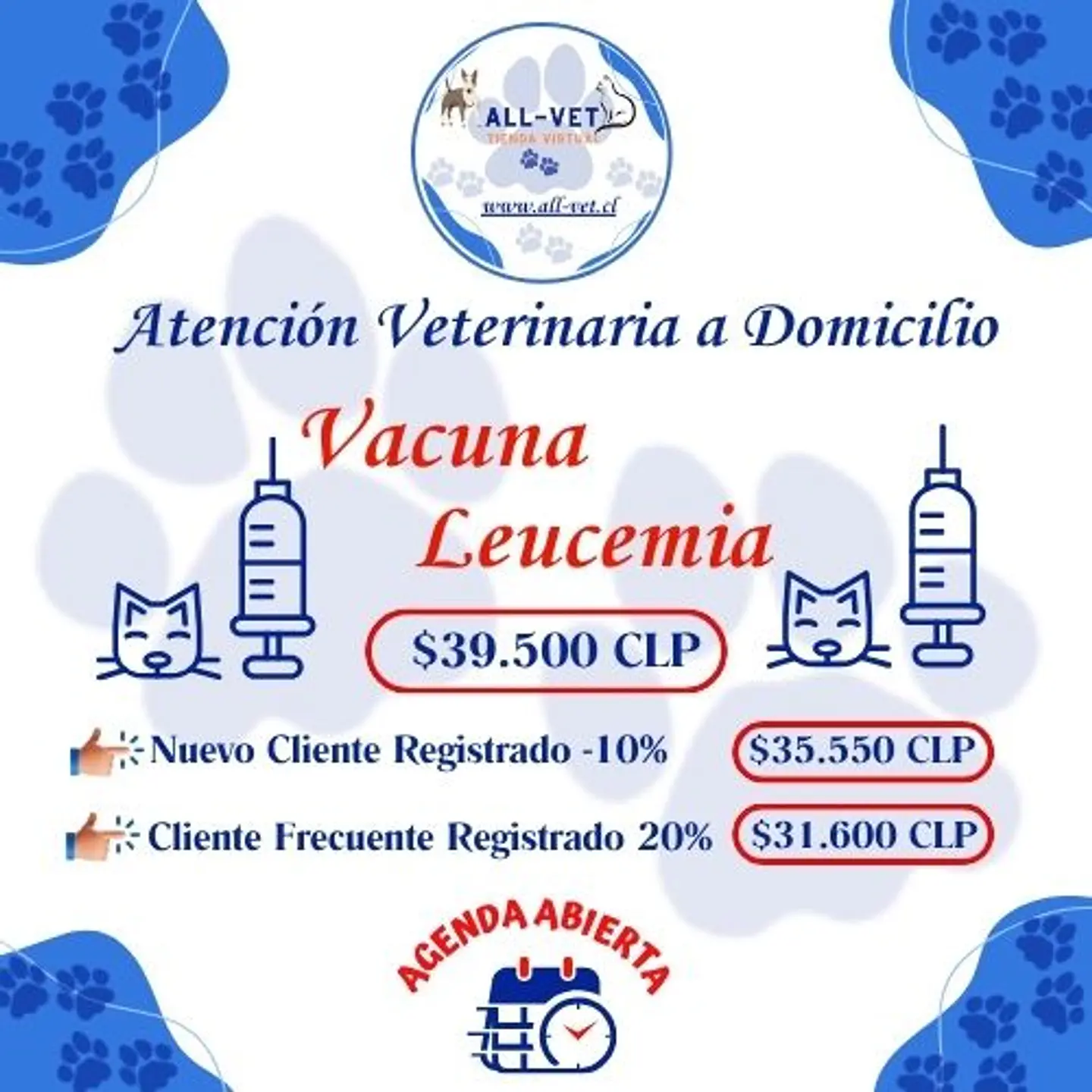 Vacuna Leucemia Felina a Domicilio en Santiago - Con Agenda en Línea 1