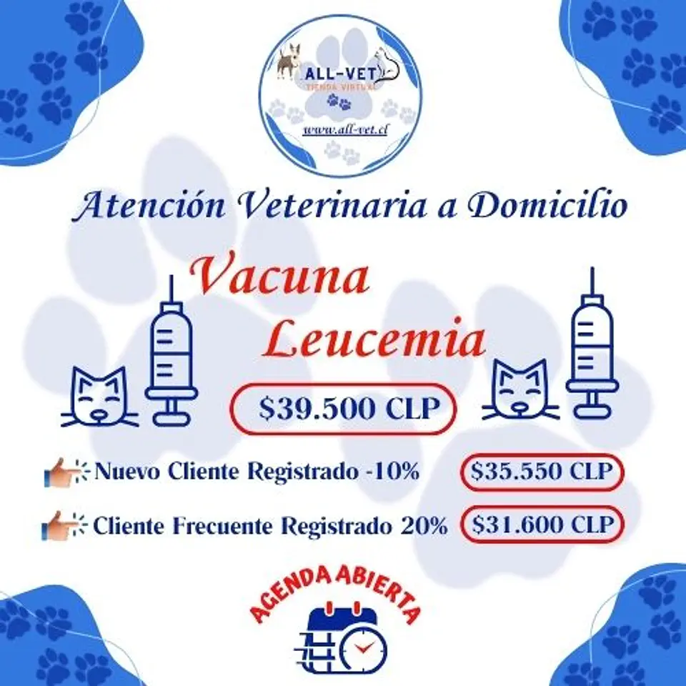 Vacuna Leucemia Felina a Domicilio en Santiago - Con Agenda en Línea 1
