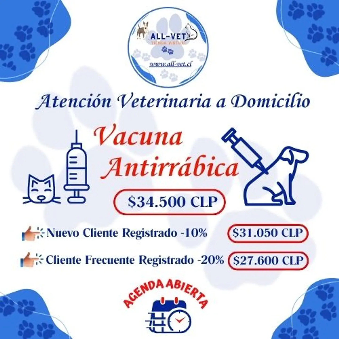 Vacuna Antirrábica a Domicilio en Santiago - Con Agenda en Línea 1
