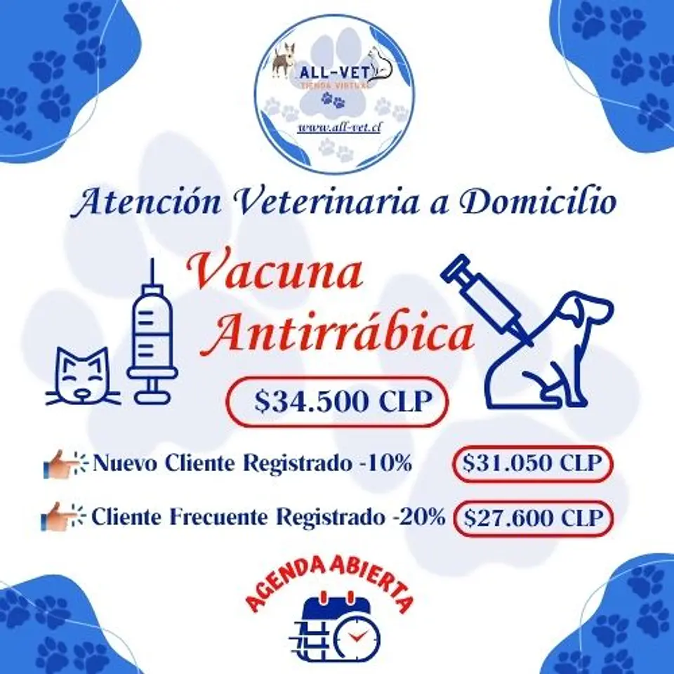 Vacuna Antirrábica a Domicilio en Santiago - Con Agenda en Línea 1