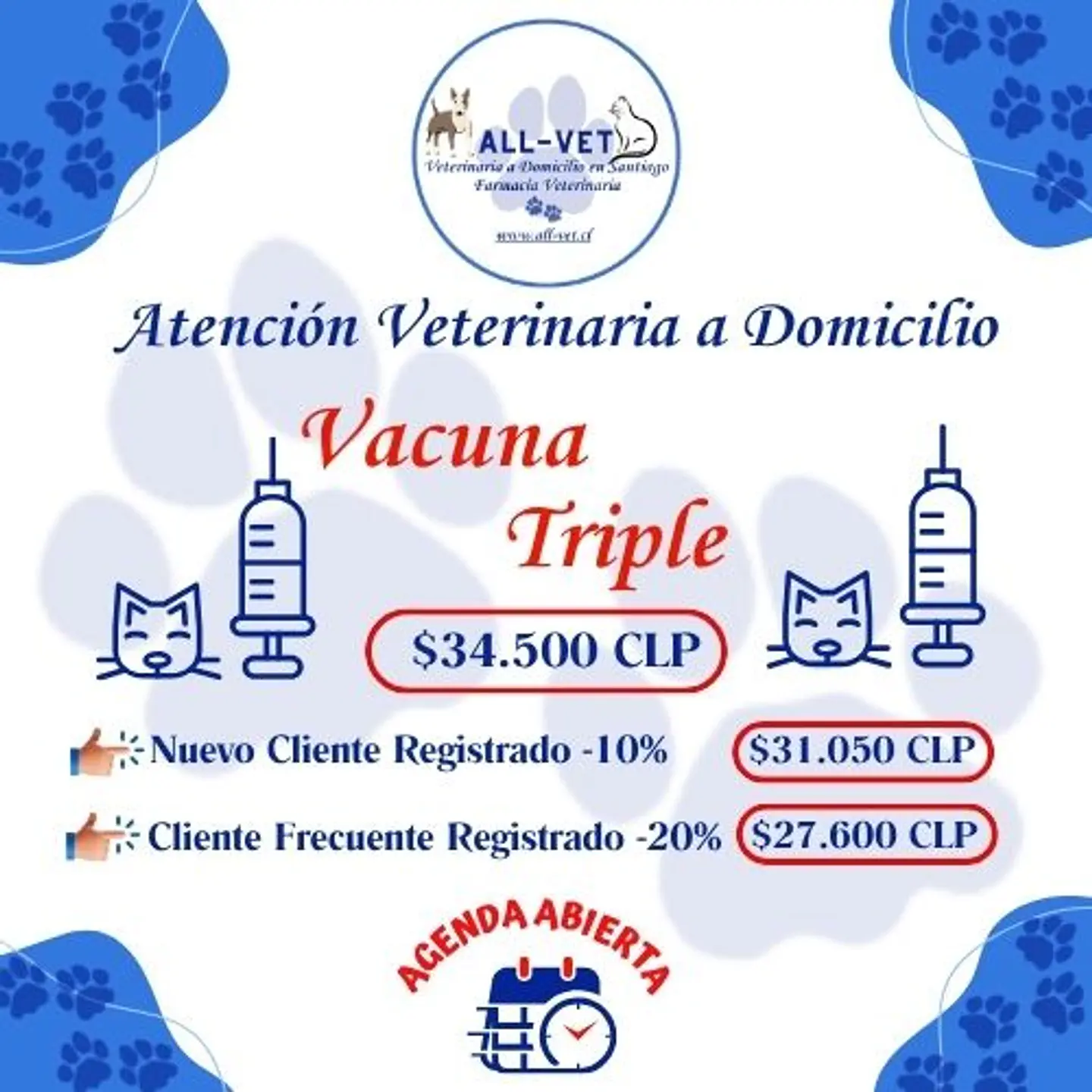 Vacuna Triple Felina a Domicilio en Santiago - Con Agenda en Línea 1