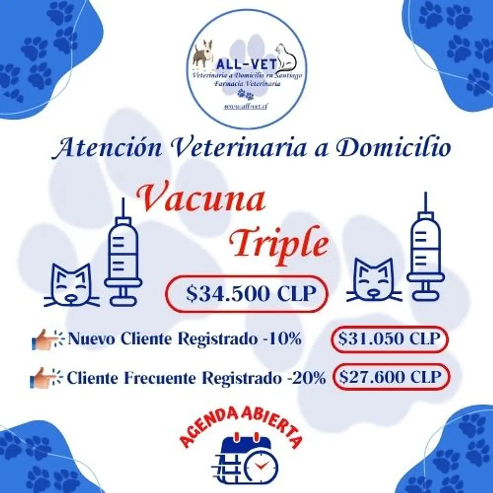 Vacuna Triple Felina a Domicilio en Santiago - Con Agenda en Línea 1