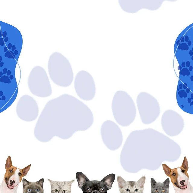 <b>ALL-VET | Veterinaria a Domicilio en Santiago & Farmacia Especializada con Envíos a todo Chile