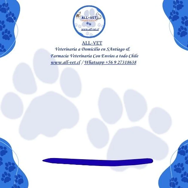 <br><b>ALL-VET | Veterinaria a Domicilio en Santiago & Farmacia Veterinaria</b>