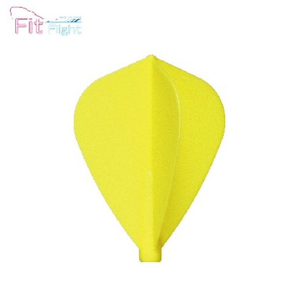 Fit Flight Kite 2