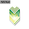 Pentathlon V