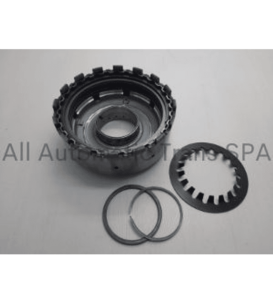 TAMBOR PUMP BODY W/GEARS, 722.9 (23 T OUTER, 19 T INNER) 04-UP