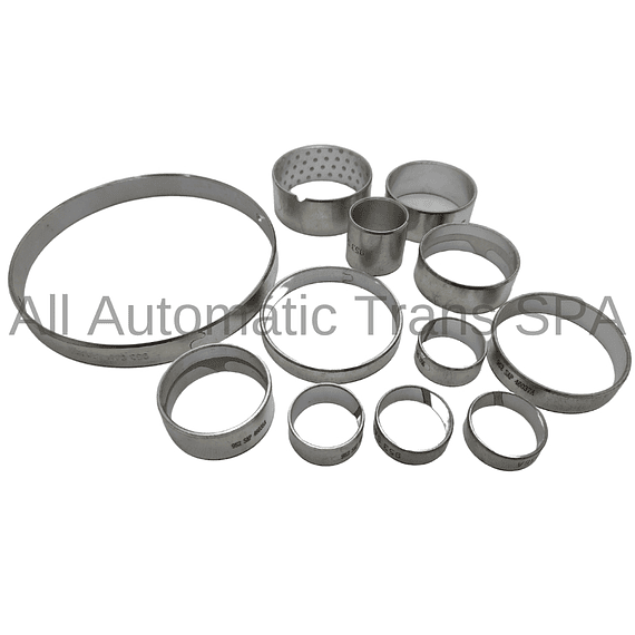 Kit De Bujes Ford 6F35 (09-Up) (12 Bushings)