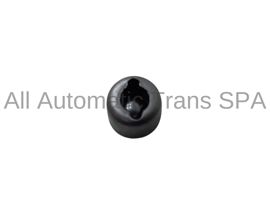 Check Ball Capsule With Check Ball, Low/Reverse Piston Th-700,4L60E,
