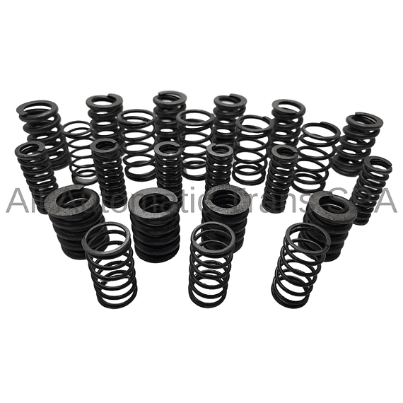 Repair Kit MPS6 DCT450 Spring