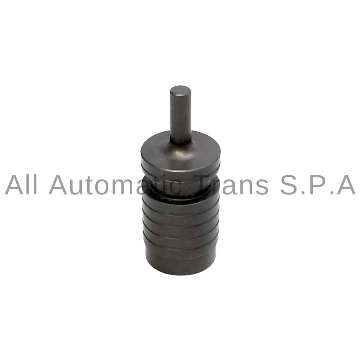 OIL PUMP VALVE