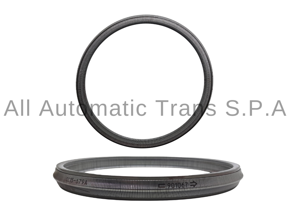 Cadena Push Belt 019Cha Oem