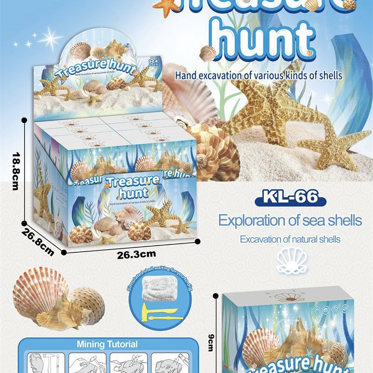 Treasure Hunt – Excavación de Conchitas Naturales 2