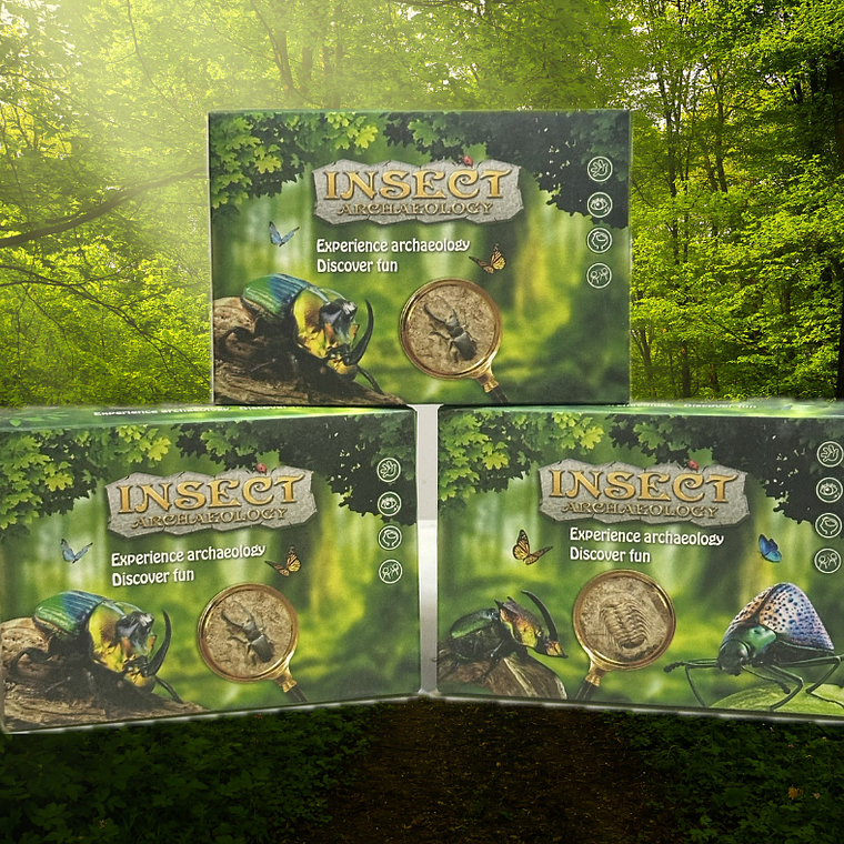 Kit de Excavación de Insectos- Insect Archaeology 1