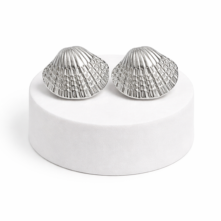 Aros Concha Marina en Acero Plateado  1