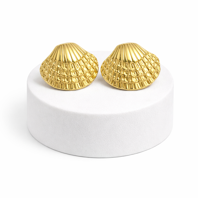 Aros Concha Marina en Acero Dorado 1
