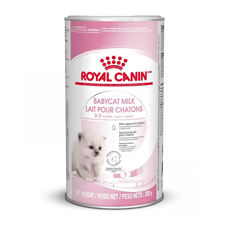 Kit Royal Canin BabyCat Milk 300grs 1