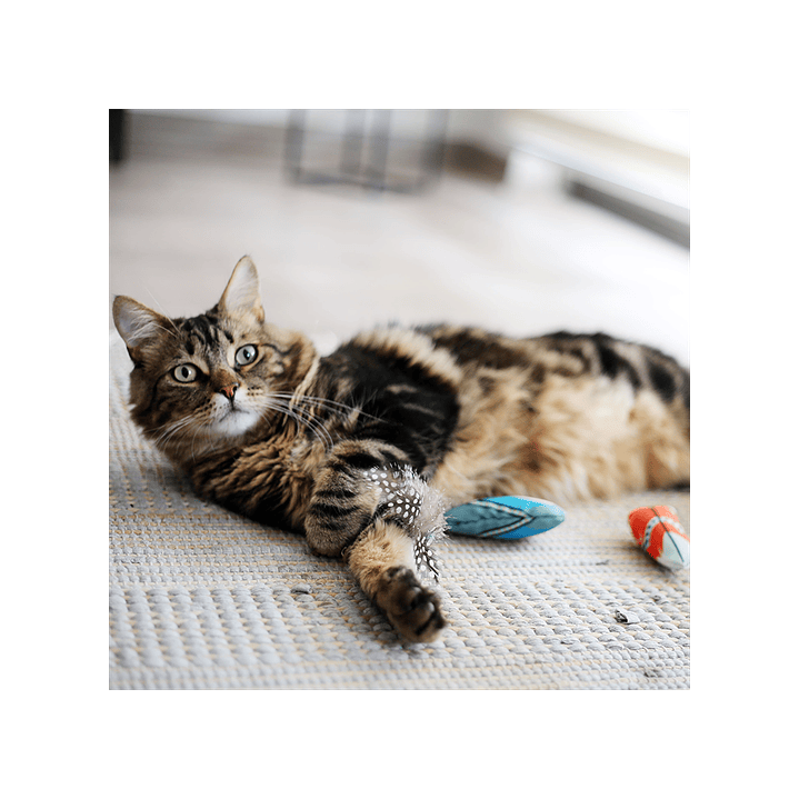 BRNX Juguete Gato Maxi Pluma Boho Celeste 3