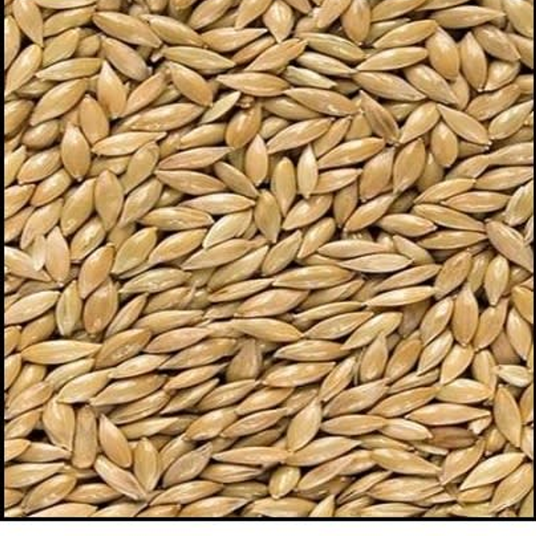 Alpiste 1 kg Granel 1