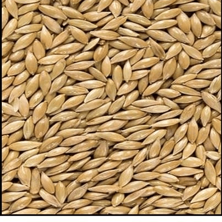 Alpiste 1 kg Granel 1