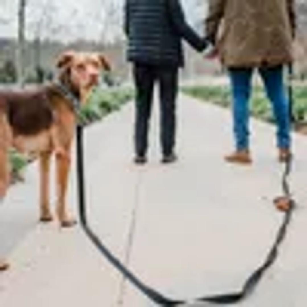 Correa Larga Perro - 3 Metros - Negra Power Trail 50 kg 3