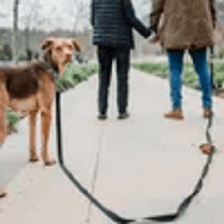 Correa Larga Perro - 3 Metros - Negra Power Trail 50 kg 3