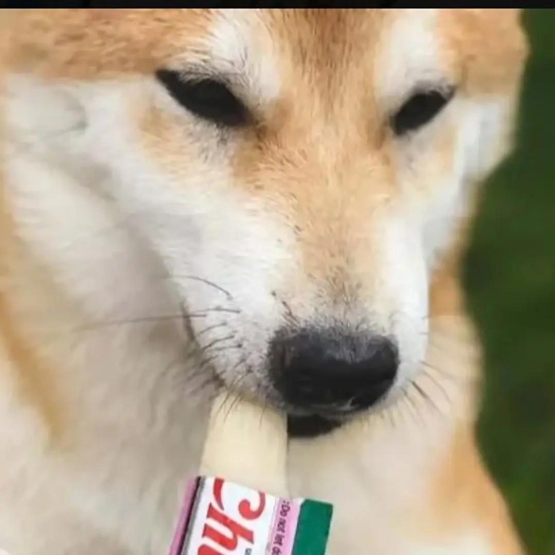 Churu Perro Individual  2