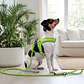 Correa Perro - 1,5 Metros - Verde - Easy Glam - Miniatura 5