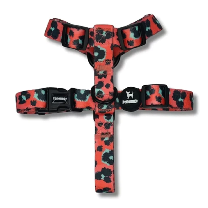 Arnés H para Perros y Gatos - Coral Leopard L/XL 2