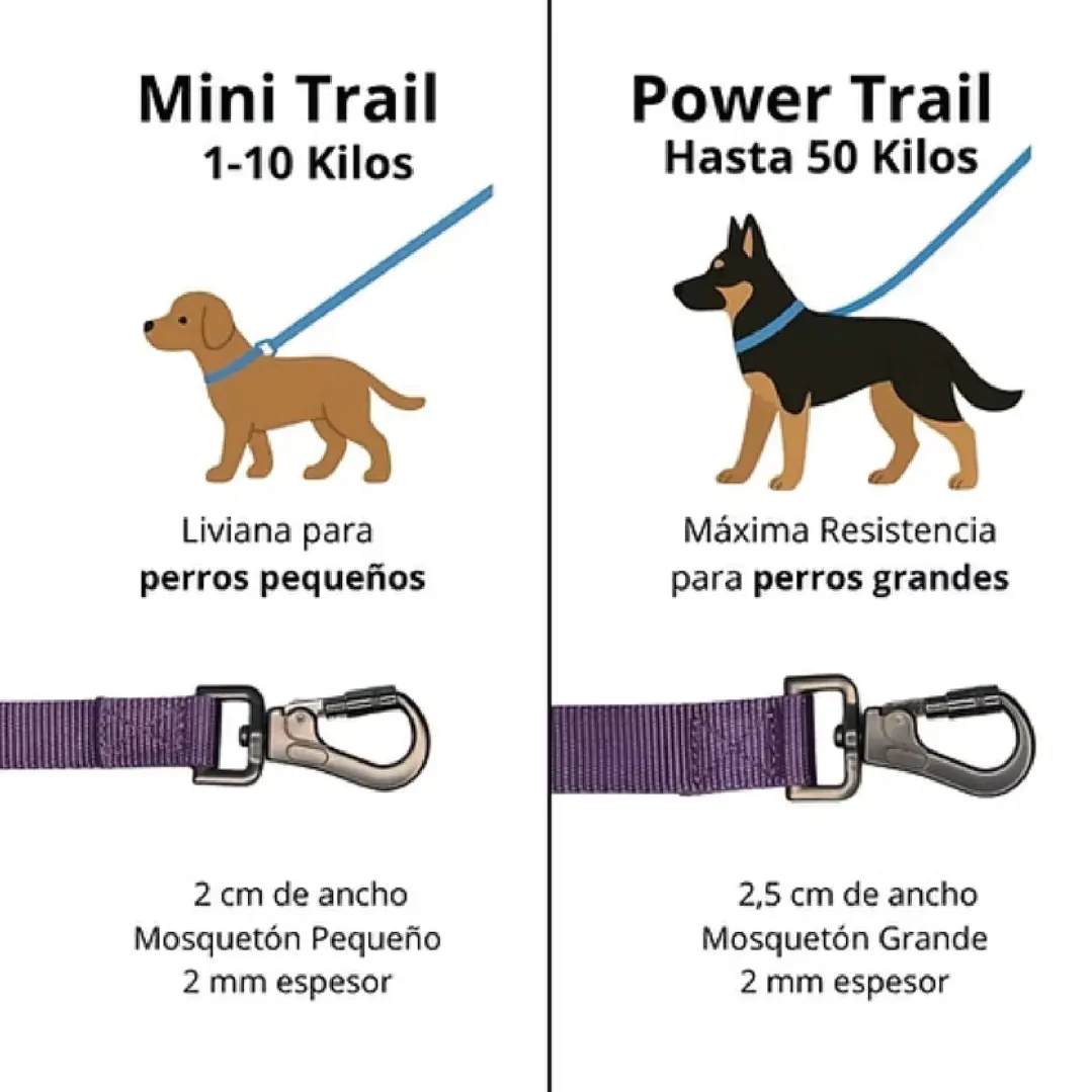 Correa Larga Perro - 3  Metros - Morada Mini Trail 4