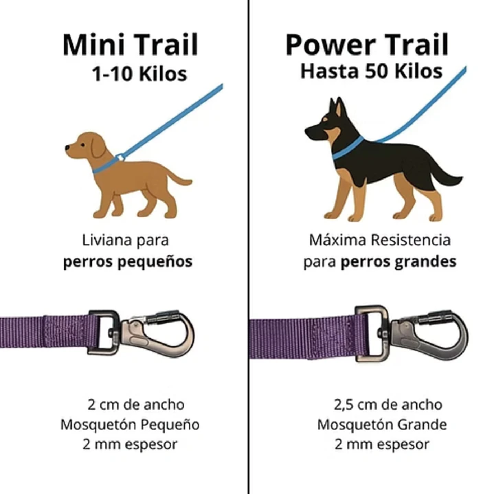 Correa Larga Perro - 3  Metros - Morada Mini Trail 4