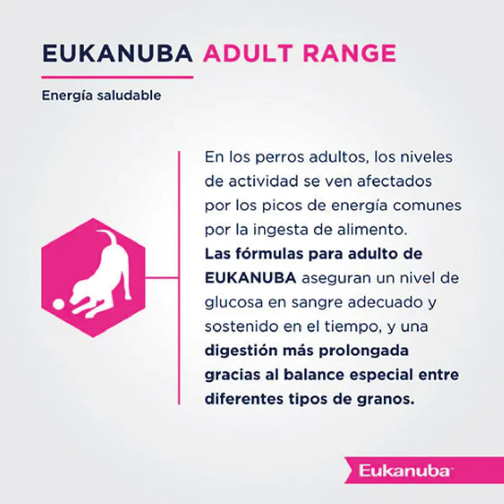 Eukanuba Adult Small Breed 3Kg 3