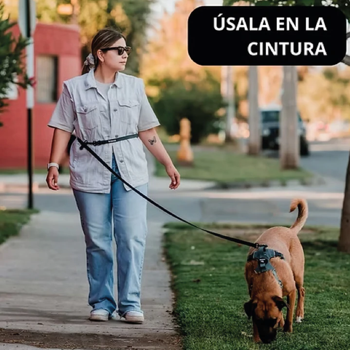 Correa Manos Libres - Impermeable - Multiuso 5 en 1 - Perro - Negra 9