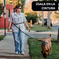 Correa Manos Libres - Impermeable - Multiuso 5 en 1 - Perro - Negra - Miniatura 9