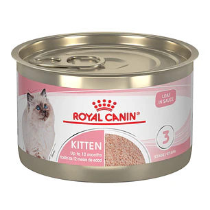 Royal Canin Kittem Lata
