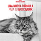 Royal canin gatos senior 11+ 2kg - Miniatura 2
