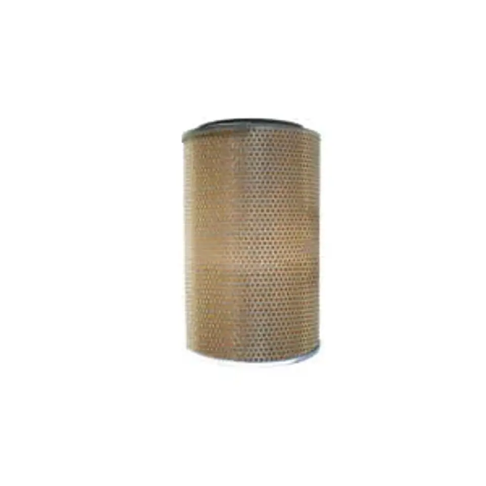 FILTRO AIRE PRIMARIO OEM P771558, PA2776, AF1802 MTQ 1